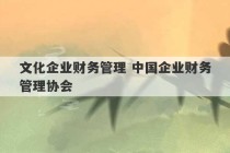 文化企业财务管理 中国企业财务管理协会