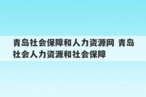 青岛社会保障和人力资源网 青岛社会人力资源和社会保障