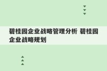 碧桂园企业战略管理分析 碧桂园企业战略规划