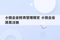 小微企业财务管理规定 小微企业简易注销