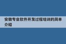 安徽专业软件开发过程培训的简单介绍