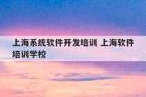 上海系统软件开发培训 上海软件培训学校