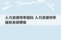 人力资源效率指标 人力资源效率指标包括哪些