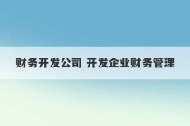 财务开发公司 开发企业财务管理