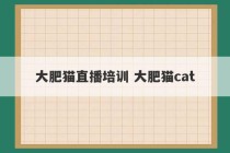 大肥猫直播培训 大肥猫cat