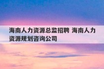 海南人力资源总监招聘 海南人力资源规划咨询公司