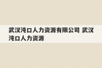 武汉沌口人力资源有限公司 武汉沌口人力资源