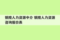 铜陵人力资源中介 铜陵人力资源咨询报价表