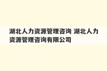 湖北人力资源管理咨询 湖北人力资源管理咨询有限公司