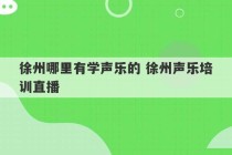 徐州哪里有学声乐的 徐州声乐培训直播