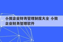 小微企业财务管理制度大全 小微企业财务管理软件