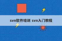 svn软件培训 svn入门教程