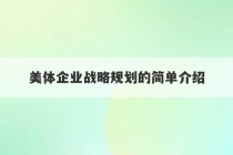 美体企业战略规划的简单介绍