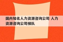 国内知名人力资源咨询公司 人力资源咨询公司梯队