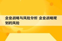 企业战略与风险分析 企业战略规划的风险