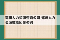 郑州人力资源咨询公司 郑州人力资源效能团体咨询