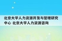 北京大学人力资源开发与管理研究中心 北京大学人力资源咨询