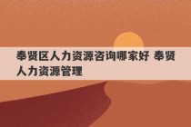 奉贤区人力资源咨询哪家好 奉贤人力资源管理