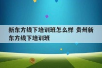 新东方线下培训班怎么样 贵州新东方线下培训班