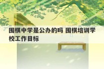 围棋中学是公办的吗 围棋培训学校工作目标