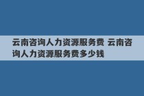 云南咨询人力资源服务费 云南咨询人力资源服务费多少钱