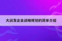 大润发企业战略规划的简单介绍