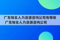 广东知名人力资源咨询公司有哪些 广东知名人力资源咨询公司