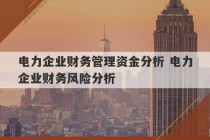 电力企业财务管理资金分析 电力企业财务风险分析