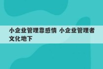 小企业管理靠感情 小企业管理者文化地下