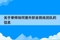 关于拳师如何晋升职业教练团队的信息