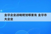 金华企业战略规划哪里有 金华市大企业