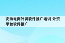 安徽电商外贸软件推广培训 外贸平台软件推广