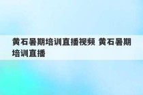 黄石暑期培训直播视频 黄石暑期培训直播