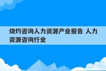 烧灼咨询人力资源产业报告 人力资源咨询行业