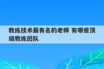 教练技术最有名的老师 有哪些顶级教练团队