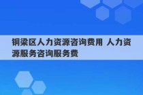 铜梁区人力资源咨询费用 人力资源服务咨询服务费