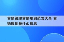 营销管理营销规划范文大全 营销规划是什么意思