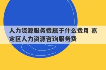 人力资源服务费属于什么费用 嘉定区人力资源咨询服务费