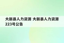 大新县人力资源 大新县人力资源223号公告