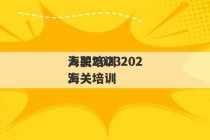 海关2023
入职培训 2023
海关培训