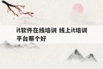 it软件在线培训 线上it培训平台那个好