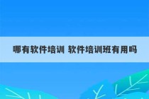 哪有软件培训 软件培训班有用吗