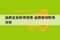 品牌企业财务管理 品牌策划财务分析