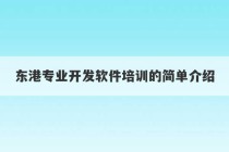 东港专业开发软件培训的简单介绍