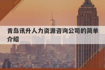 青岛讯升人力资源咨询公司的简单介绍