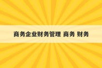 商务企业财务管理 商务 财务