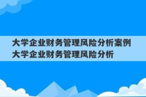 大学企业财务管理风险分析案例 大学企业财务管理风险分析