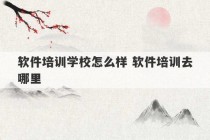 软件培训学校怎么样 软件培训去哪里