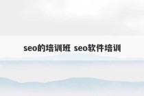 seo的培训班 seo软件培训