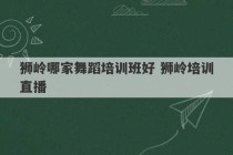 狮岭哪家舞蹈培训班好 狮岭培训直播